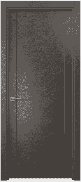 Дверь межкомнатная 4111 ДП. Цвет Дуб пепельный. Материал Шпон ценных пород. Коллекция Quadro. Картинка.